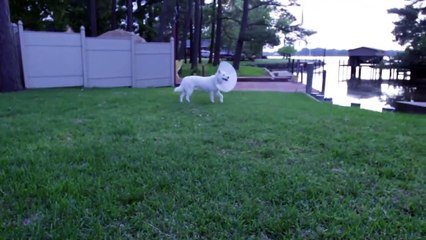 Petroleum jelly | live hack | ultimate survival