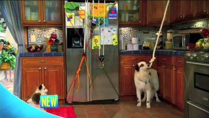 Dog With a Blog Youre Not My Sister Anymore Promo