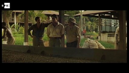 "Palmeras en la nieve", "Macbeth" y "Carlitos y Snoopy" llegan al cine por Navidad