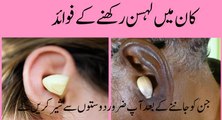 lehsan ke fawaid  garlic in ear