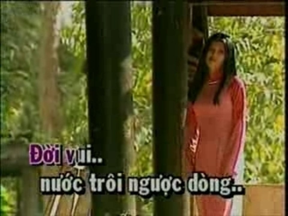 Vietnam - Dan sao hau giang - Bich Phuong