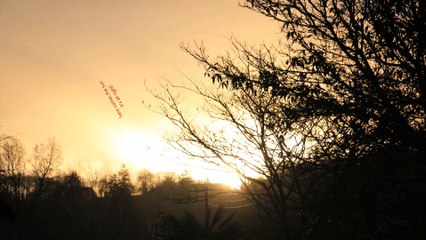 here comes the sun  de georges harisson