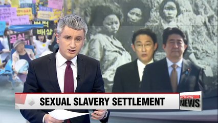 Japan 'eagerly working' to settle sexual slavery issue with Korea: media