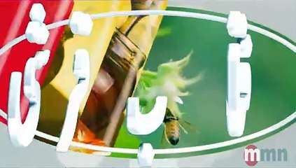 Aftab Qarshi Honey TVC 2015