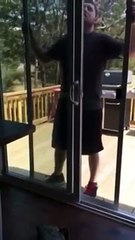 Master house puts a mosquito net