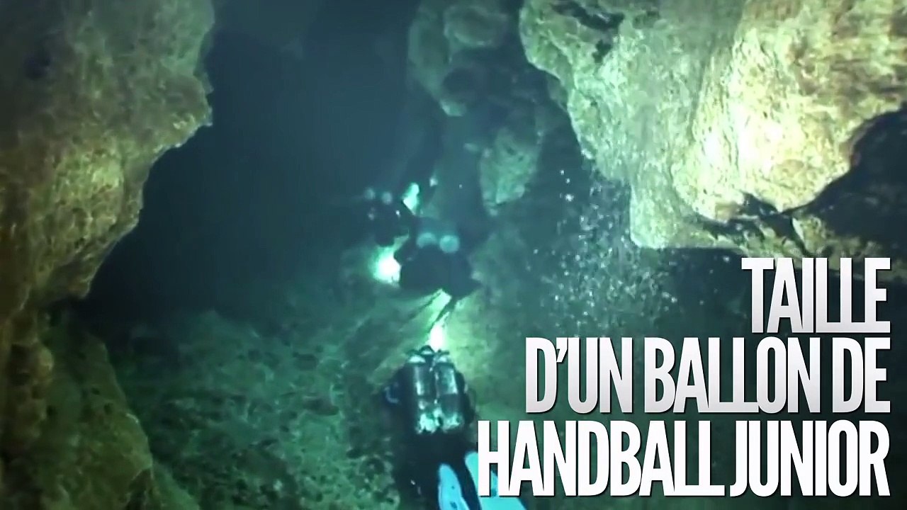 Top 10 des records insolites du sexe (Topito) #humour