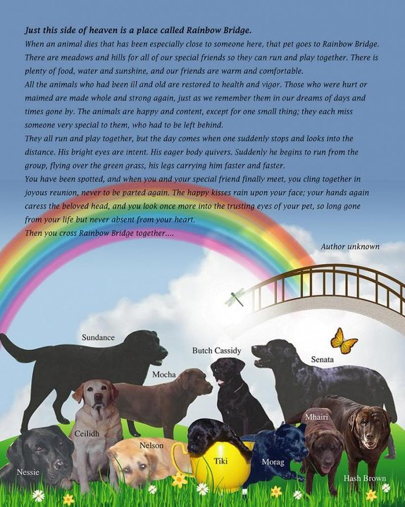 STILL PLAYING ON 'THE SOUND OF PEACE' RADIO STATION IN ISRAEL @6pm