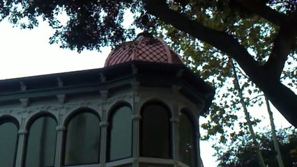 result of reconstruction-რეკონსტრუქციის შედეგი