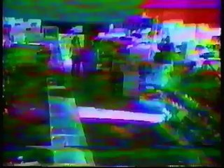 Against All Odds- Rottweiler Rescues Epileptic Girl During 1989 SF Earthquake
