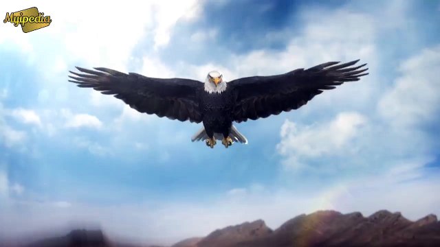 Fazaia Housing Scheme