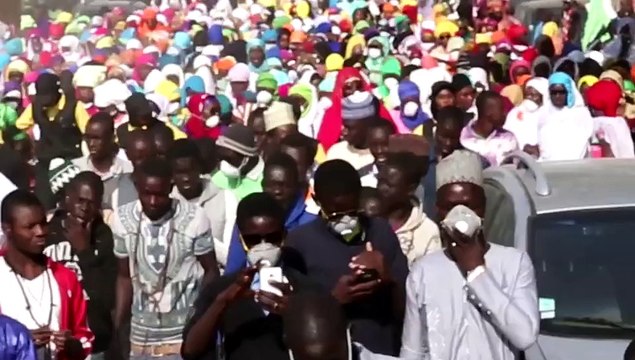 Ziarra Baye Cheikh Mamour Insa DIOP au Khabrou de Baye NIASS