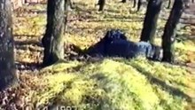 Искусство снайпера. Укрытие типа Колесо