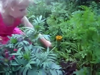 Морковь довела ребенка до мата