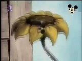 Mickey Mouse Cartoon - Miki Maus Español - Pauk i muva (1931)