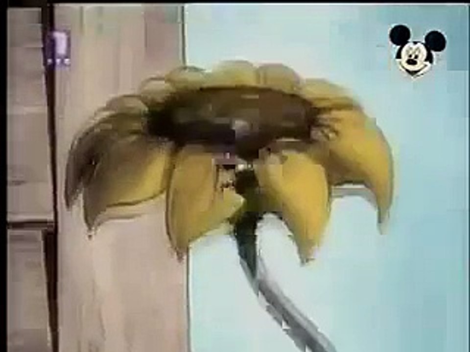 Mickey Mouse Cartoon - Miki Maus Español - Pauk i muva (1931)