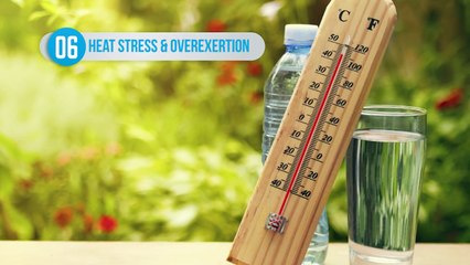 Can You Drink Too Much Water?