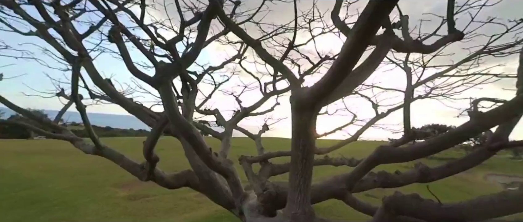 Bob has skills to ride drone camera like this