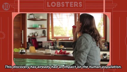 10 Animals That Hold The Key To Immortality