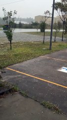 Rain, Strom & electic wires - car Epic Lightning Strike