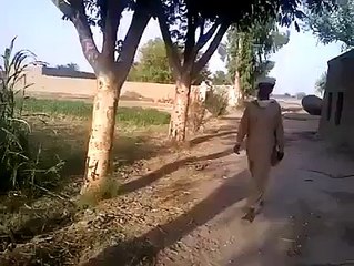 VID-20151218-WA0023.mp4