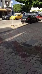 بلطي يصور في كليب في الحمامات