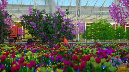 The Season Adventure with Shawn and Team (Learn About the Four Seasons)