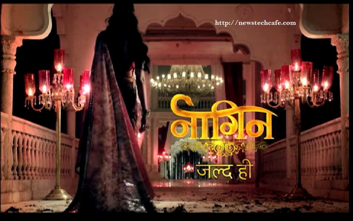 Naagin 23th December 2015 Episode