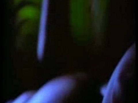 Shabba Ranks - Mr. Loverman