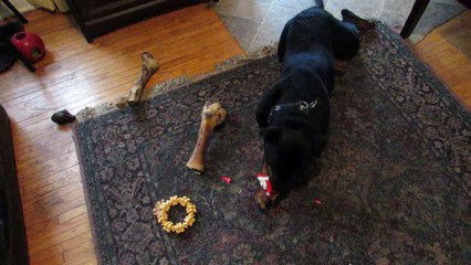 Ilse Kills Santa Claus