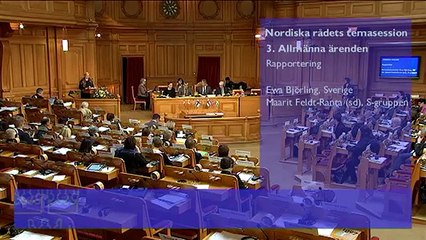 Marit FeldtRanta's Response to Social Democratic Group's Debate 💬