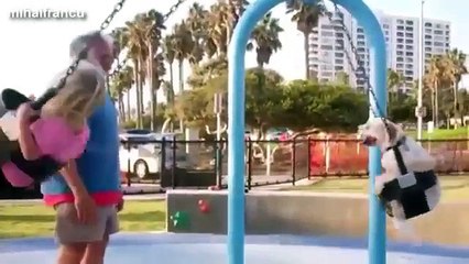 Dogs And Puppies On Swings Compilation 2014 [NEW]