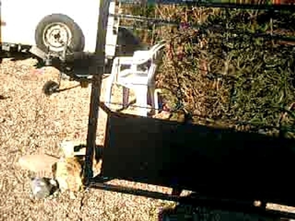 CLIP0067