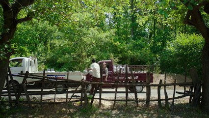 Düğün Dernek 2 Sünnet - Fragman