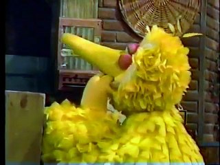Sesame Street Big Bird & Snuffy Have an Adventure