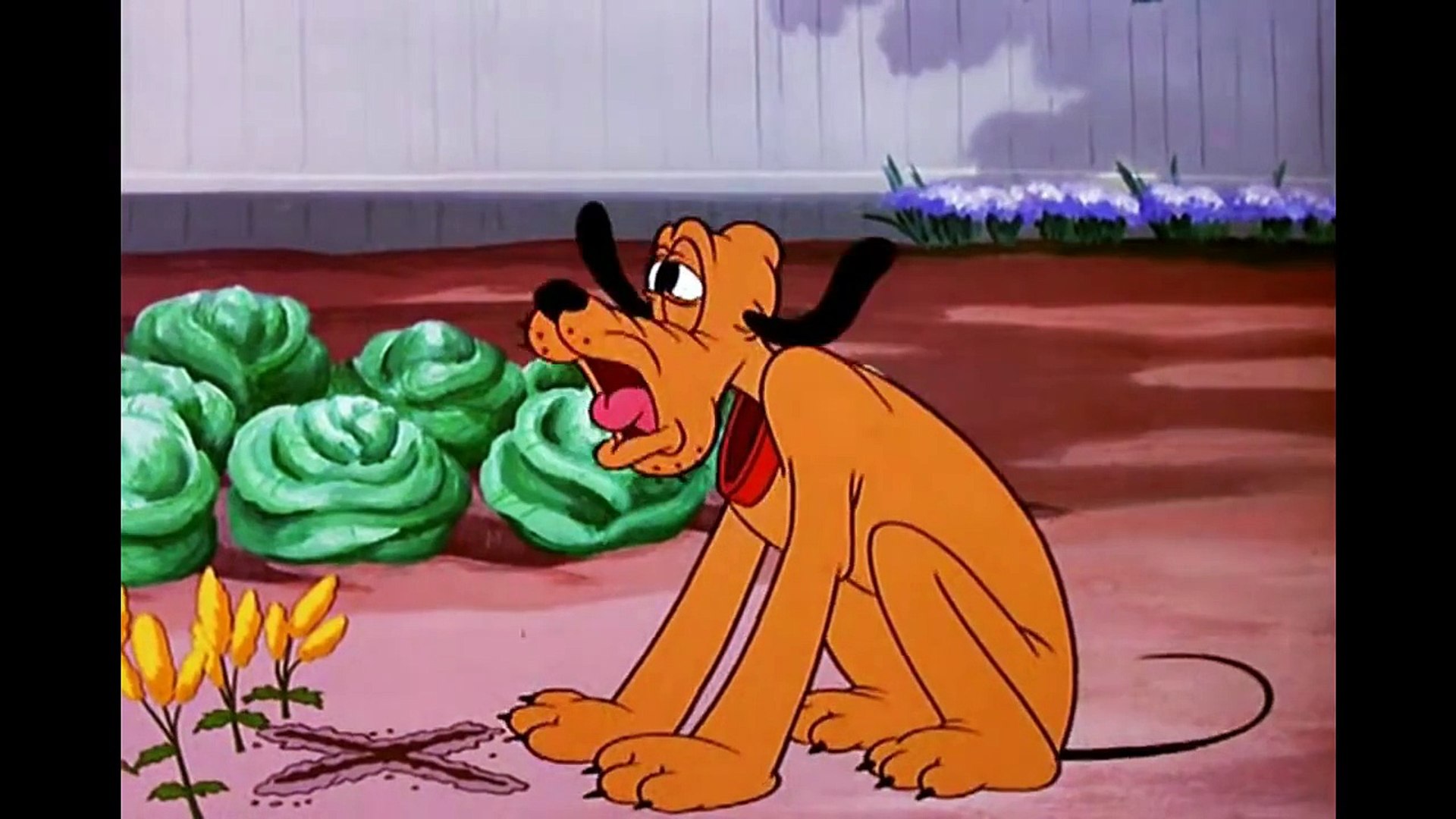 Pluto dog cheap cartoon
