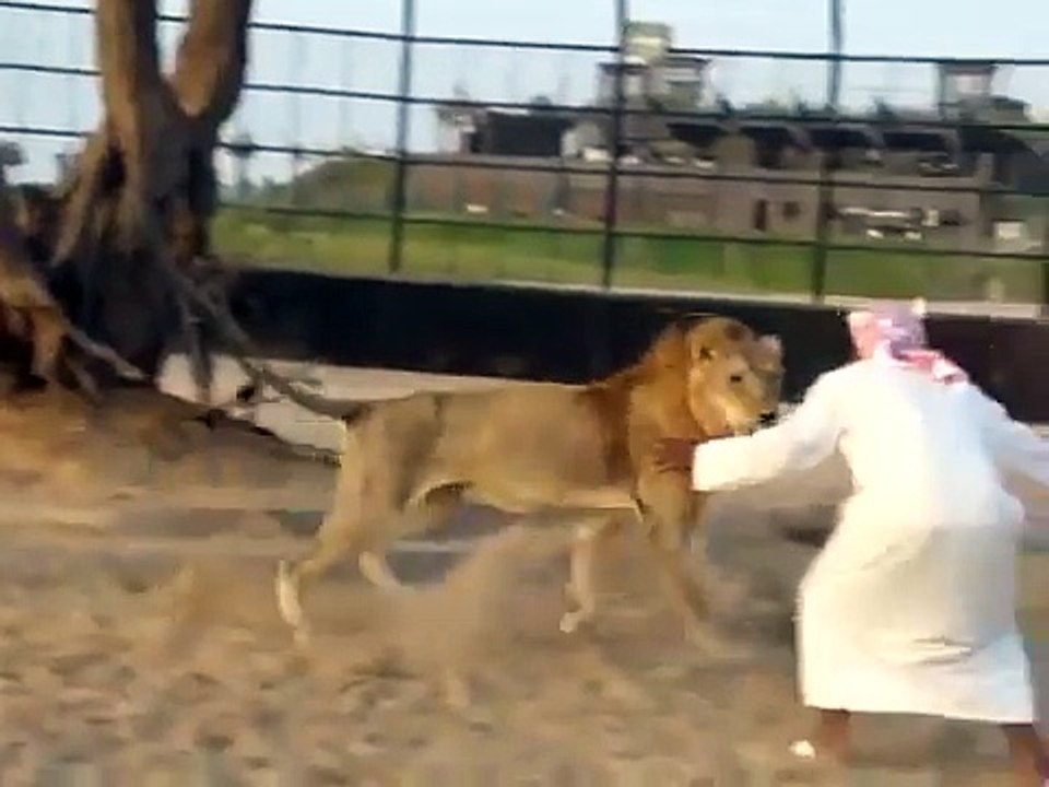 Funny video ever...