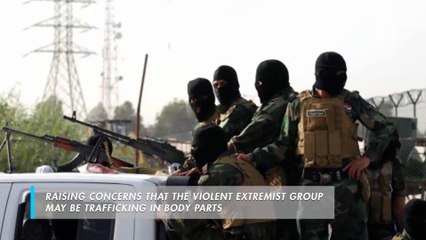 Islamic State sanctioned organ harvesting