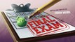 Piggy Tales: Pigs at Work - Final Exam