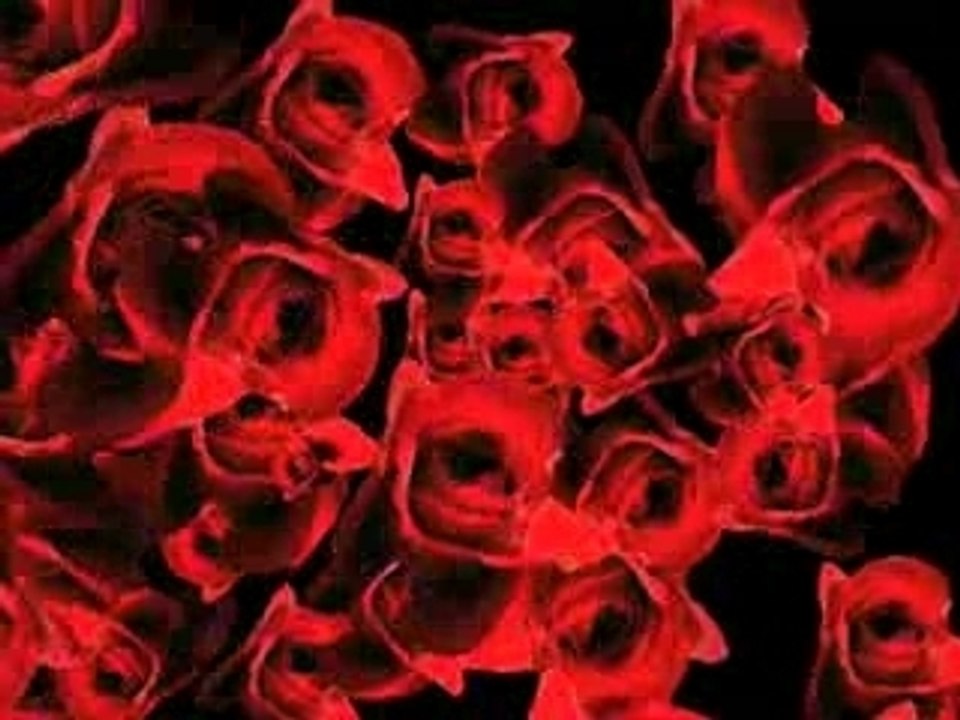 Rose Marilyn