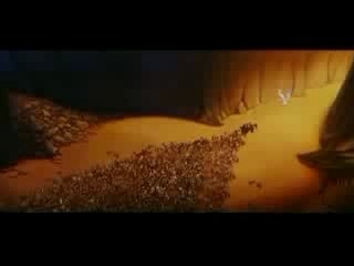 hercule :  de zero  en heros