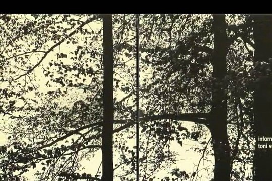 Toni Vescoli Information 1971 Swiss Acid Folk Psych