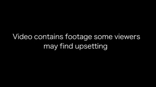 Shocking dashcam footage shows stag crash into police car and go hurtling over the bonnet