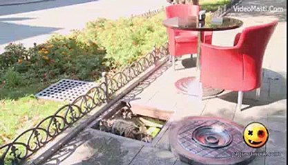 Larki Ny Kya Bahir Nikala Jis Sy Sab Heran Hoo Gaye