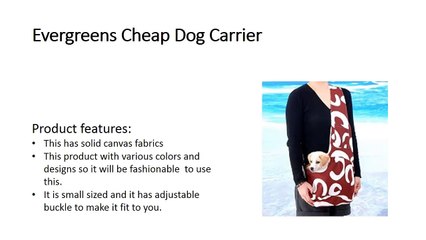 Top 5 Best Cheap Dog Carriers in This Year