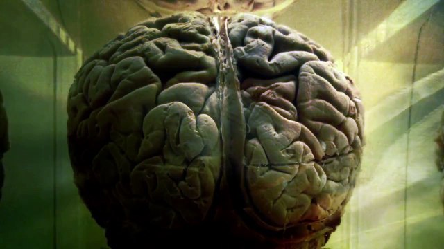 EPA Conspiracy Theories | Stuff They Dont Want You to Know