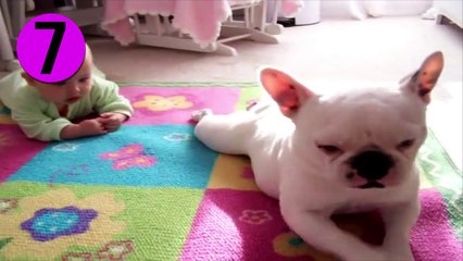 İzlerken Gökkuşağı Kusacağınız 14 köpek ve Bebek Dostluğu