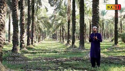 Ghous Paak Peeran Da Peer Sub Diyan Jhollyan Barda || waseem Abaas Chshti ||