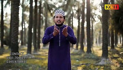 Mery Pak Patan Dy Baba  Nu Her Door Sallaman Karda Ay ||Wassem Abbas Chishti ||