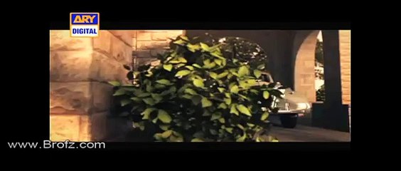 Quaid Day - 25 December - ARY Digital Promo