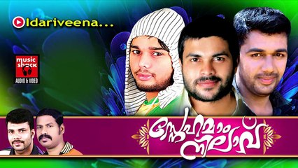 ഇടറിവീണ.... Mappila Album Songs New 2014 | Idariveena | Saleem Kodathoor,Thanseer ,Shafi
